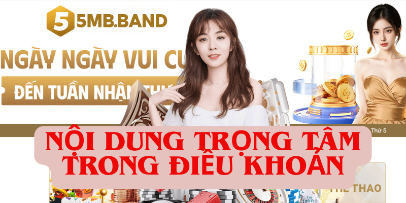 Nội dung trọng tâm trong điều khoản